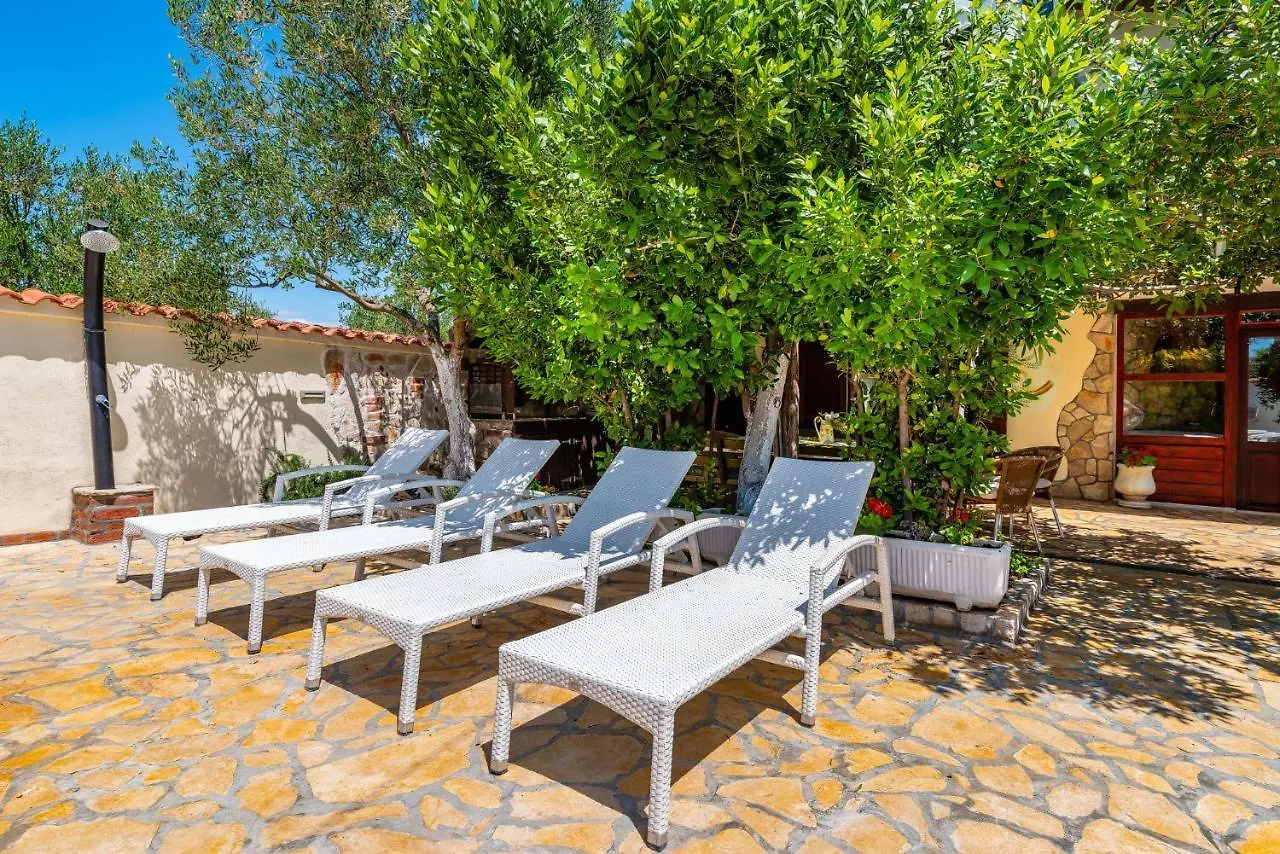 Nyaraló Olive House Zadar Villa Horvátország
